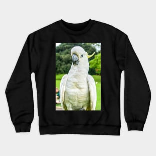 Sulphur-Crested Cockatoo Crewneck Sweatshirt